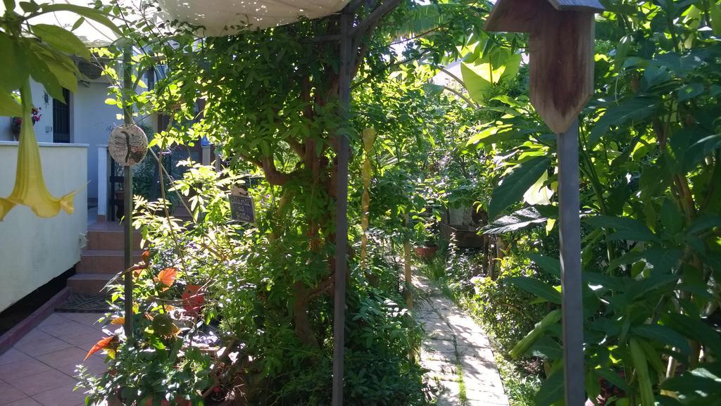 B&B Mare E Sole Brindisi Exterior photo